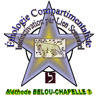 image=Etoile
